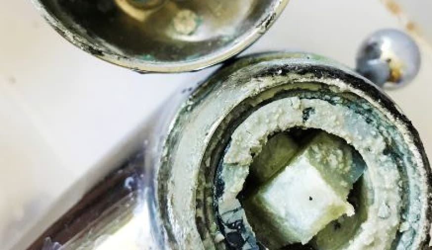 Acumulación reducida de el sarro